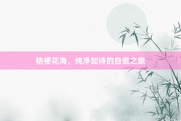 桔梗花海，纯净如诗的自傲之旅