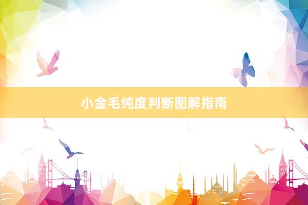 小金毛纯度判断图解指南
